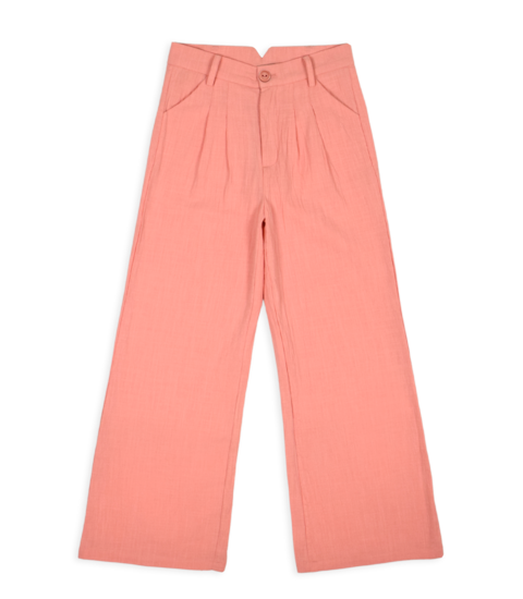 AM COCO 02 | AMMEHOELA