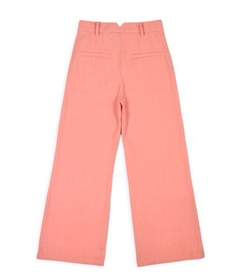 AM COCO 02 | AMMEHOELA