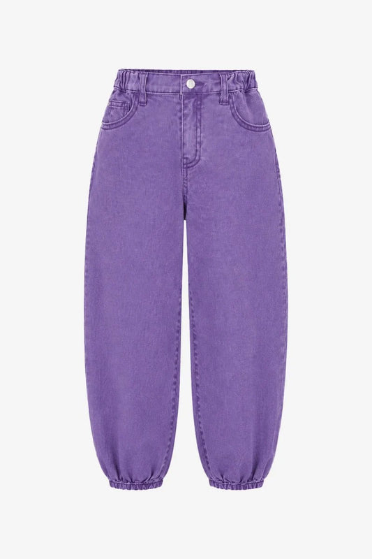 STIJE DENIM PANTS PAARS | THE NEW CHAPTER