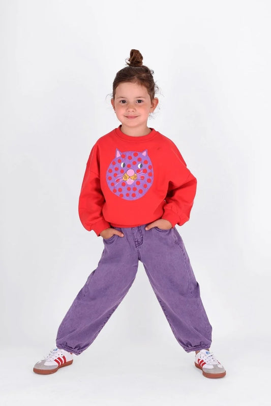 STIJE DENIM PANTS PAARS | THE NEW CHAPTER