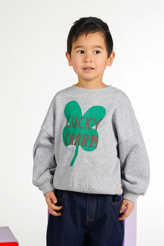 BILLIE SWEATER GRIJS WILD AT HEART  | THE NEW CHAPTER