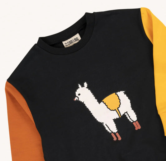 ALPACA SWEATER MET PRINT | CARLIJNQ