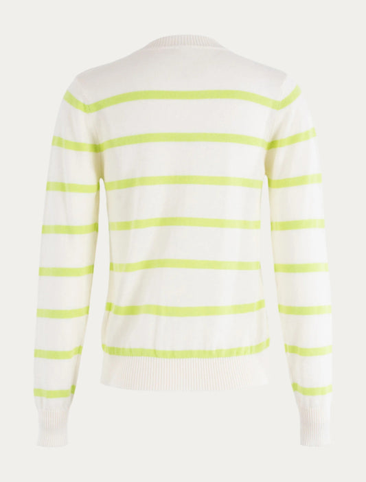 STRIPE TRUI LIME | ANNA BLUE